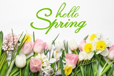 Hello Spring. Beautiful flowers on white background, flat lay