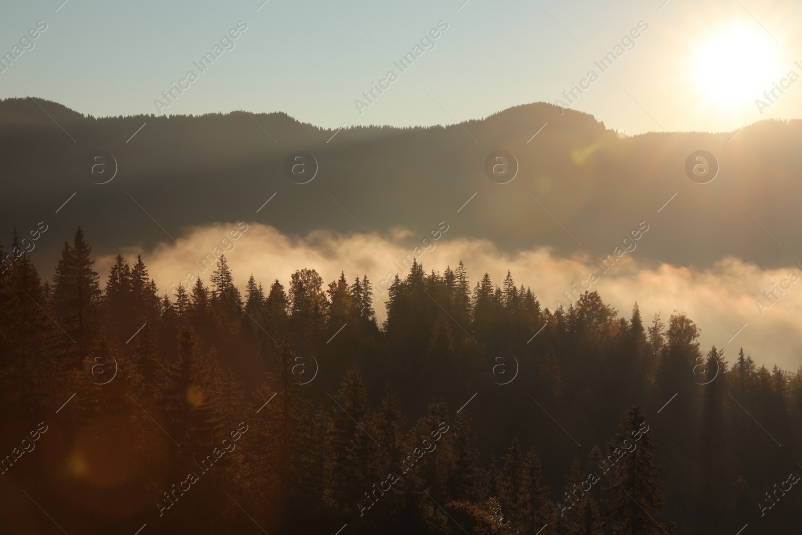 Photo of Beautiful view of mountains covered with fog at sunrise