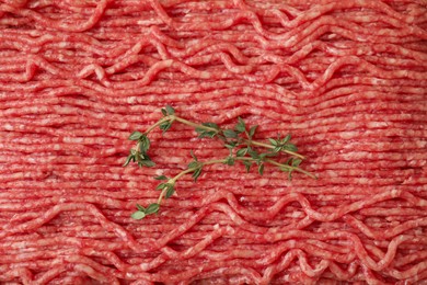 Fresh raw ground meat and thyme, top view