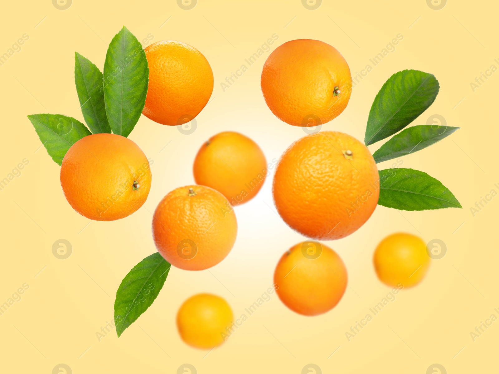 Image of Ripe oranges with green leaves flying on pale golden background