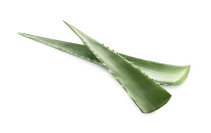 Photo of Green aloe vera leaves on white background