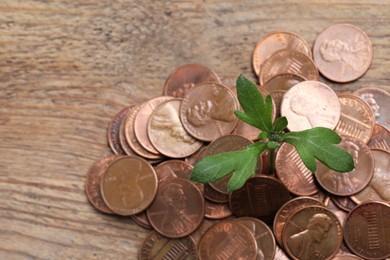 Photo of Coins with green sprout on wooden table, above view. Investment concept