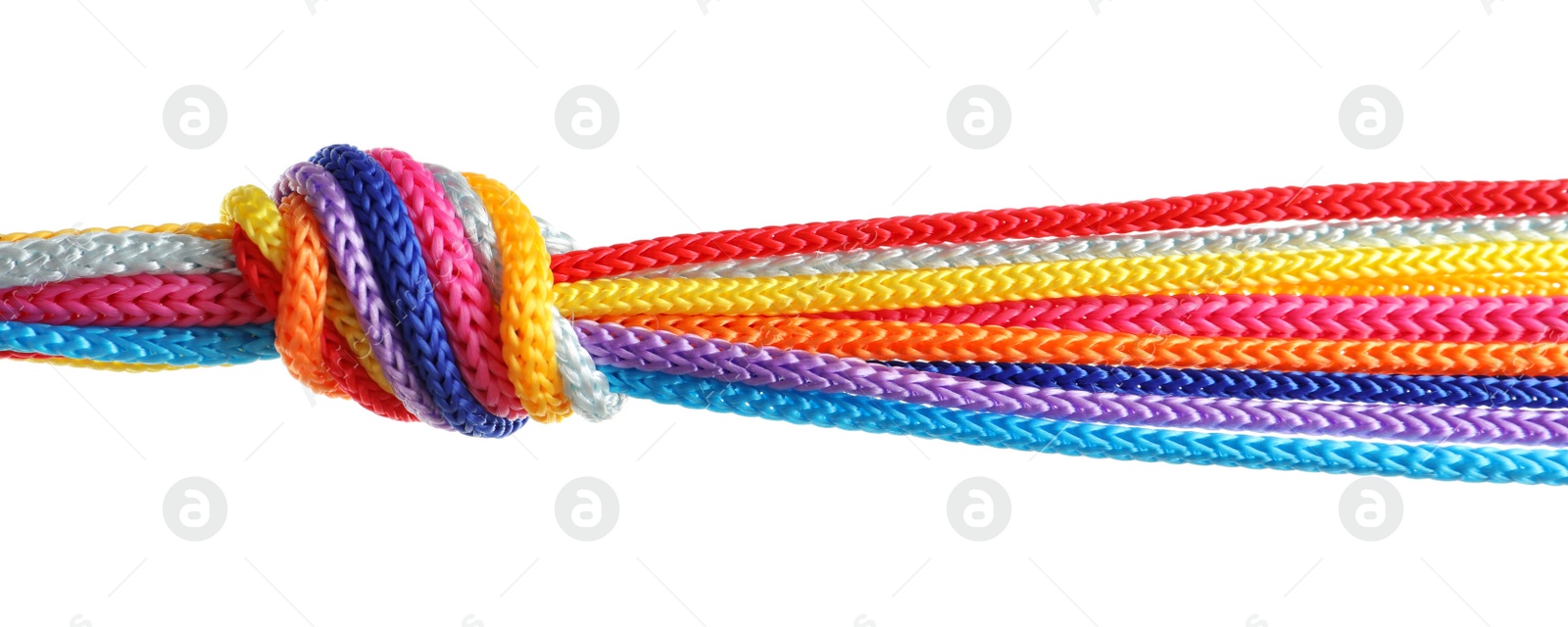 Photo of Colorful ropes tied together with knot on white background. Unity concept
