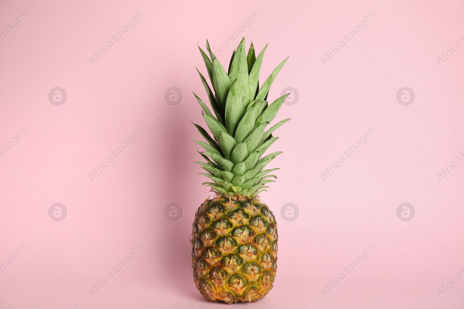 Photo of Whole ripe juicy pineapple on pink background