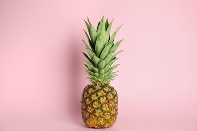 Whole ripe juicy pineapple on pink background