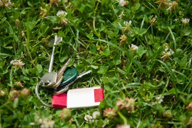 Photo of Keys on green grass outdoors. Lost and found