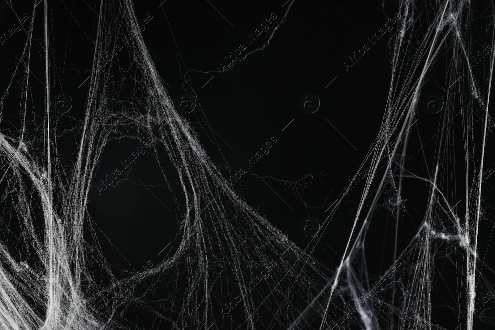 Photo of Creepy white spider web on black background