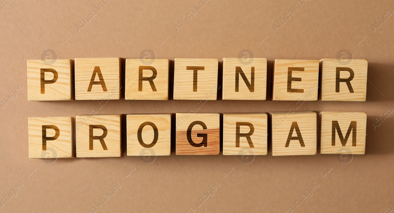 Image of Words Partner Program made of wooden cubes with letters on beige background, top view. Banner design