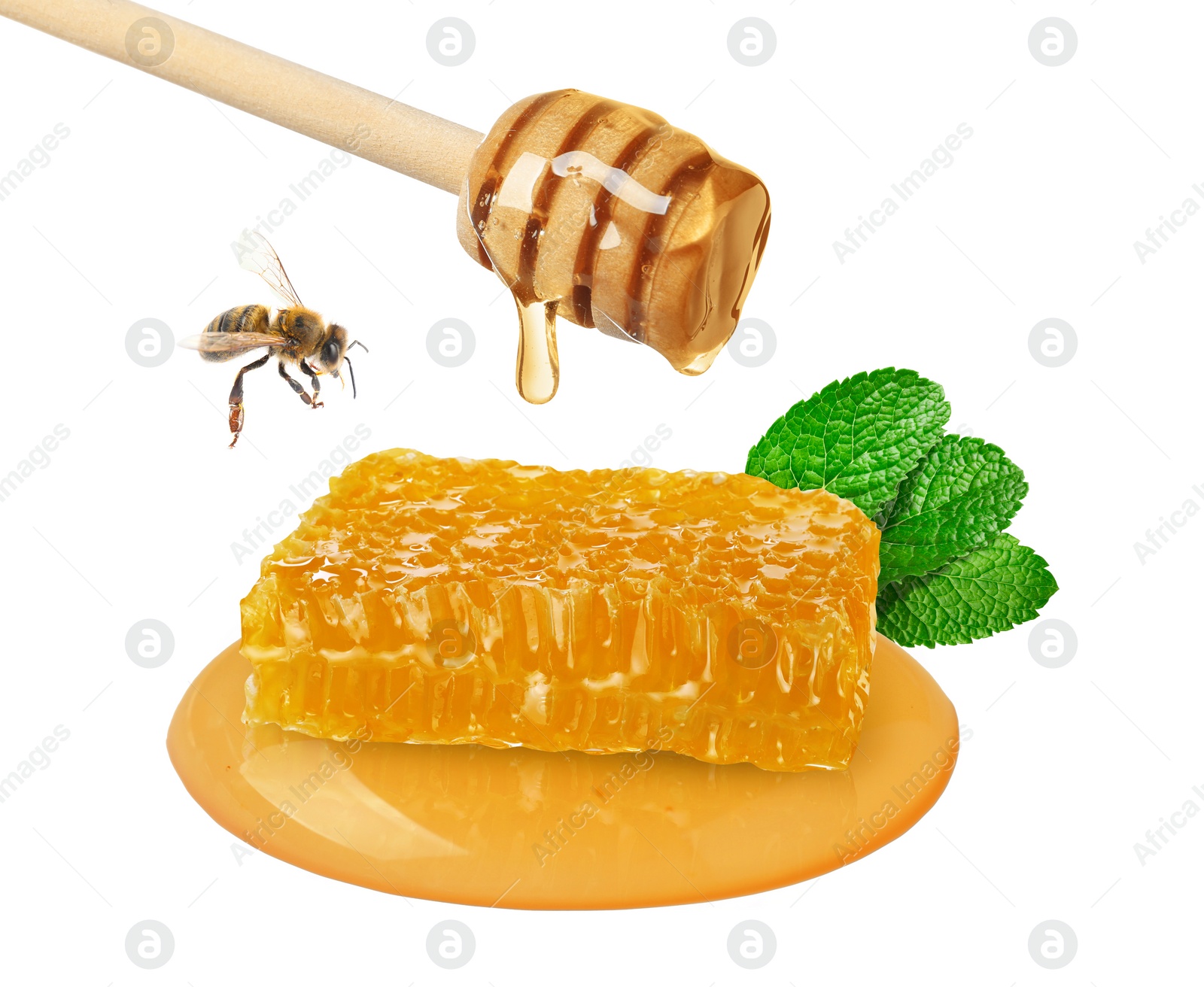 Image of Dripping tasty honey from dipper onto honeycomb, mint and bee on white background