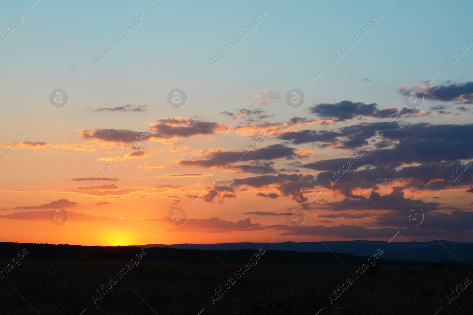 Photo of Picturesque view of beautiful field at sunset