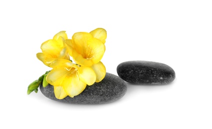 Spa stones and freesia flowers on white background