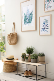 Beautiful paintings and plants at home. Idea for interior design