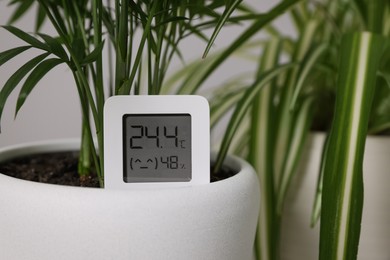 Photo of Digital hygrometer with thermometer and plant in flower pot, closeup
