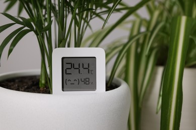 Digital hygrometer with thermometer and plant in flower pot, closeup