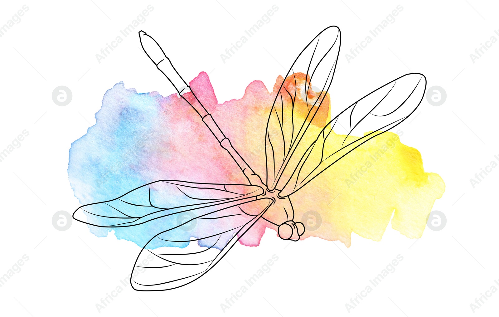 Illustration of Silhouette of dragonfly and watercolor paint on white background