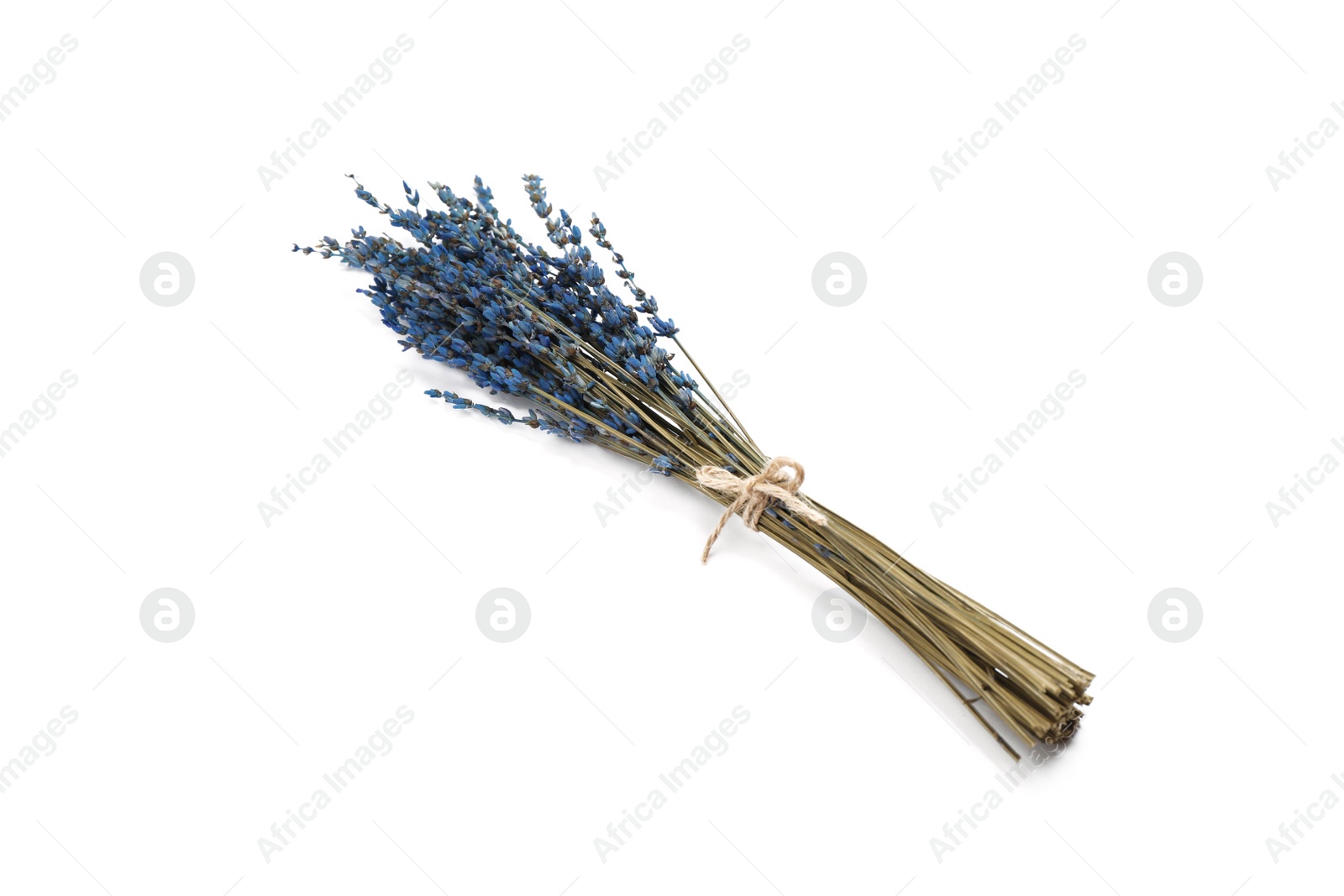 Photo of Bunch of beautiful dried flowers on white background