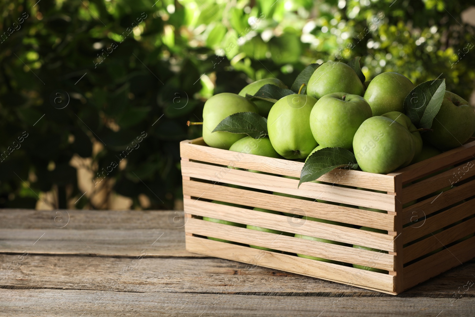 Photo of Crate full of ripe green apples and leaves on wooden table outdoors. Space for text