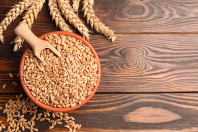 Photo of Wheat grains with spikelets on wooden table, flat lay. Space for text