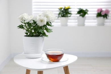 Photo of Beautiful chrysanthemum plant in flower pot and cup of tea on white table in room, space for text