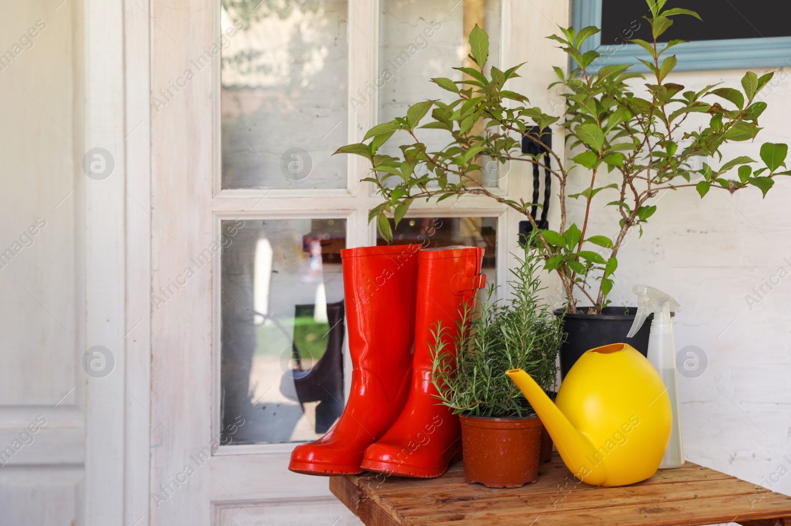 Photo of Potted plants, rubber boots and watering can on wooden table near house. Gardening tools