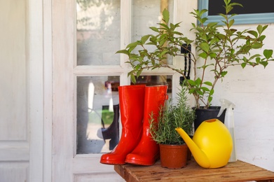 Photo of Potted plants, rubber boots and watering can on wooden table near house. Gardening tools