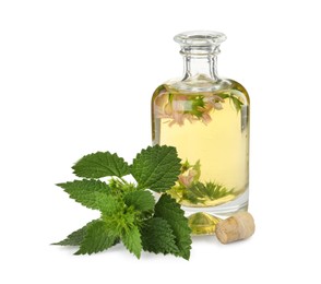 Photo of Glass bottle of nettle oil with flowers and leaves isolated on white