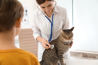 Photo of Boy with his pet visiting veterinarian in clinic. Doc examining cat