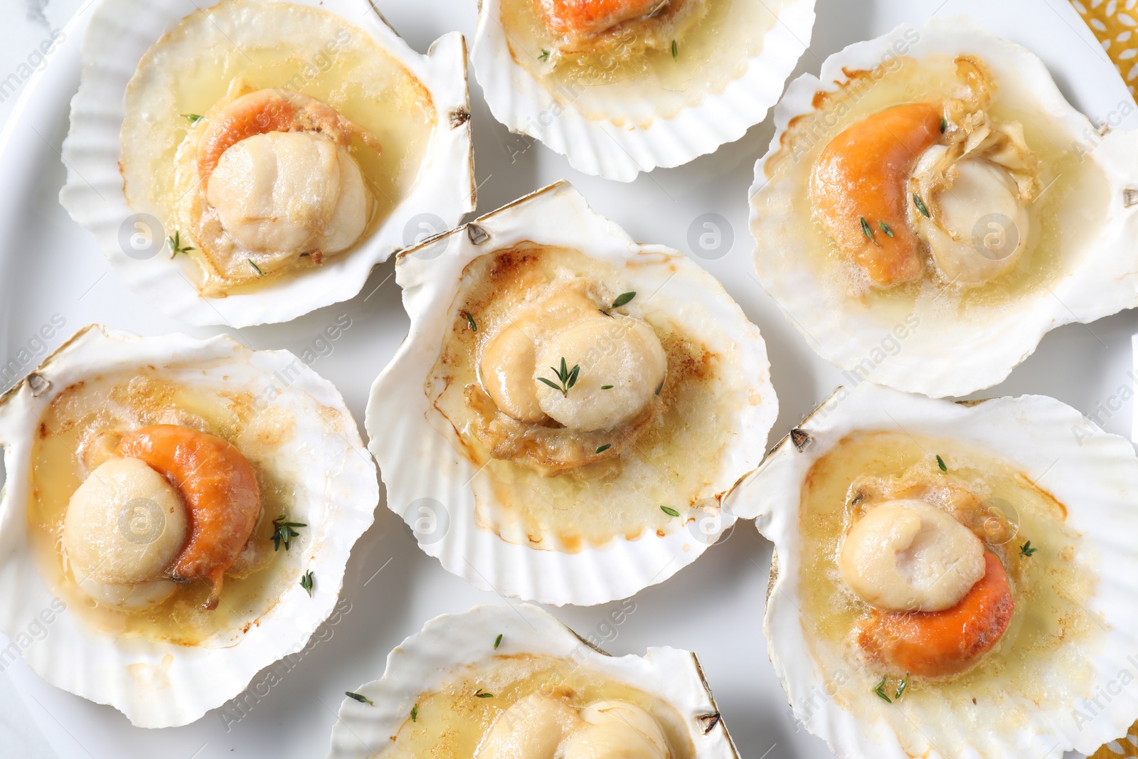 Photo of Fried scallops in shells on plate, top view