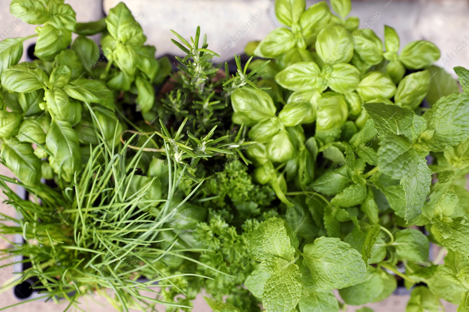 Photo of Different aromatic herbs in crate, top view