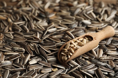 Photo of Wooden scoop and raw sunflower seeds as background, closeup