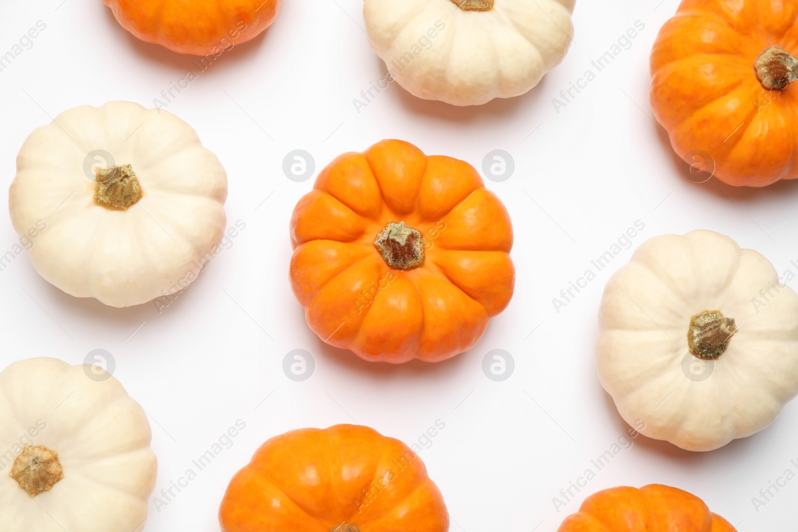 Photo of Different ripe pumpkins on white background, top view