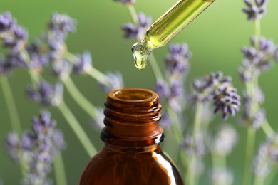 Photo of Dripping essential oil from pipette into bottle near lavender on green background, closeup