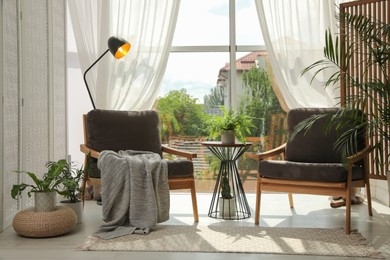 Indoor terrace interior with stylish furniture and houseplants