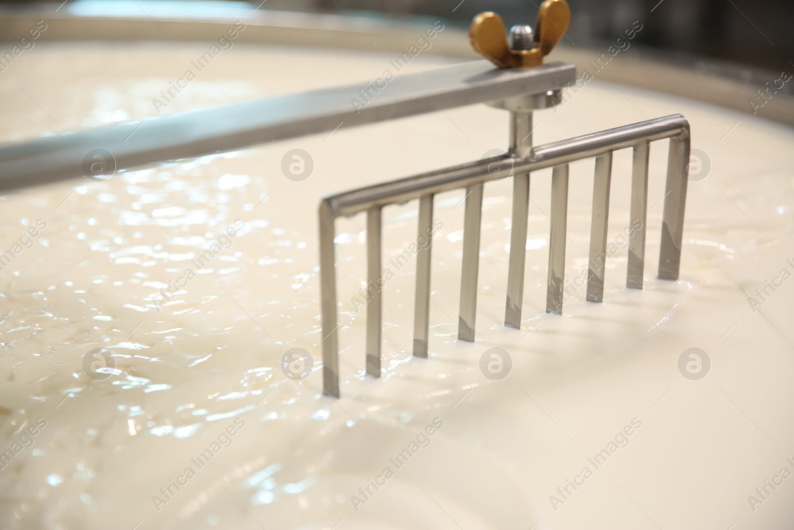 Photo of Curd and whey in tank at cheese factory, closeup