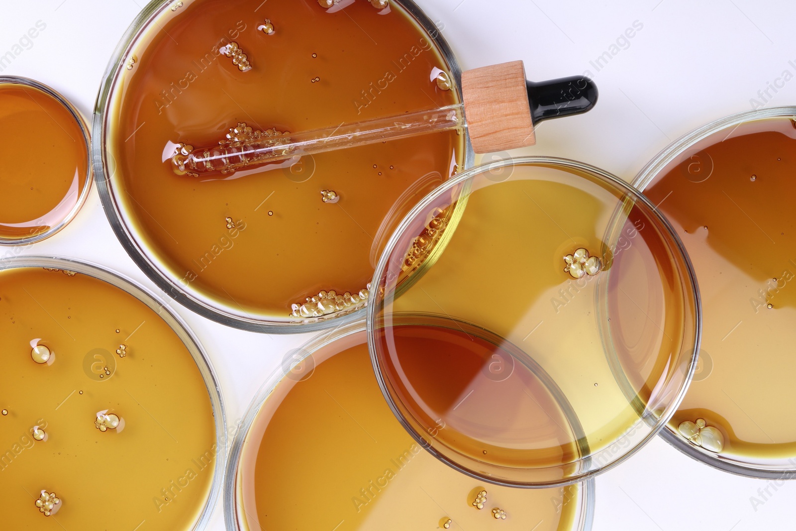 Photo of Petri dishes with color liquid samples and pipette on white background, top view