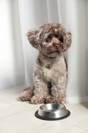 Photo of Cute Maltipoo dog near feeding bowl indoors. Lovely pet