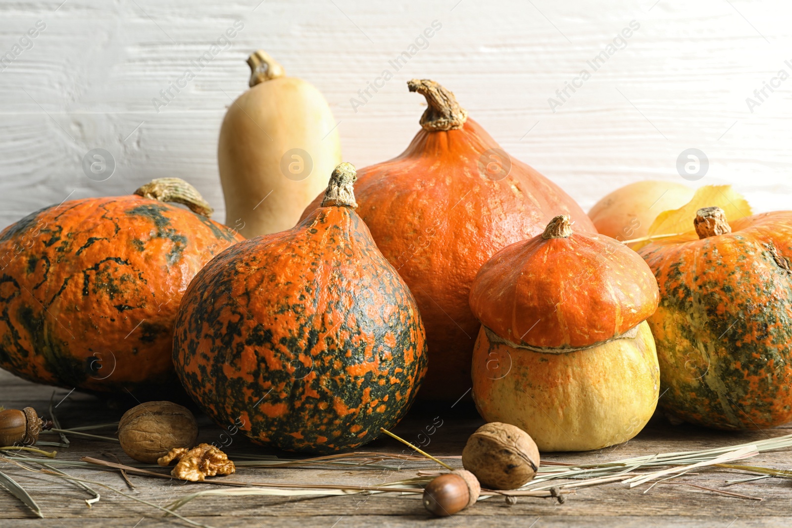 Photo of Different pumpkins on table against wooden wall. Autumn holidays