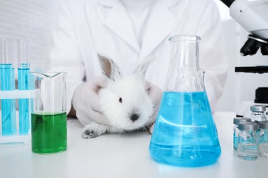 Photo of Scientist with rabbit in chemical laboratory, closeup. Animal testing