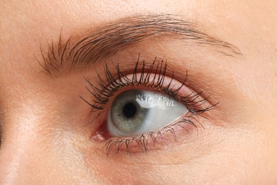 Woman with long eyelashes after mascara applying, closeup