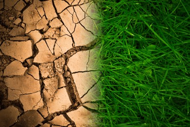 Dry cracked land and green grass, top view