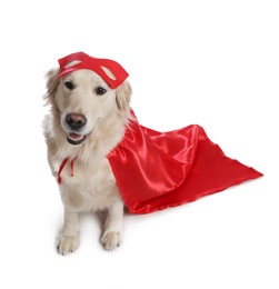 Photo of Adorable dog in red superhero cape on white background