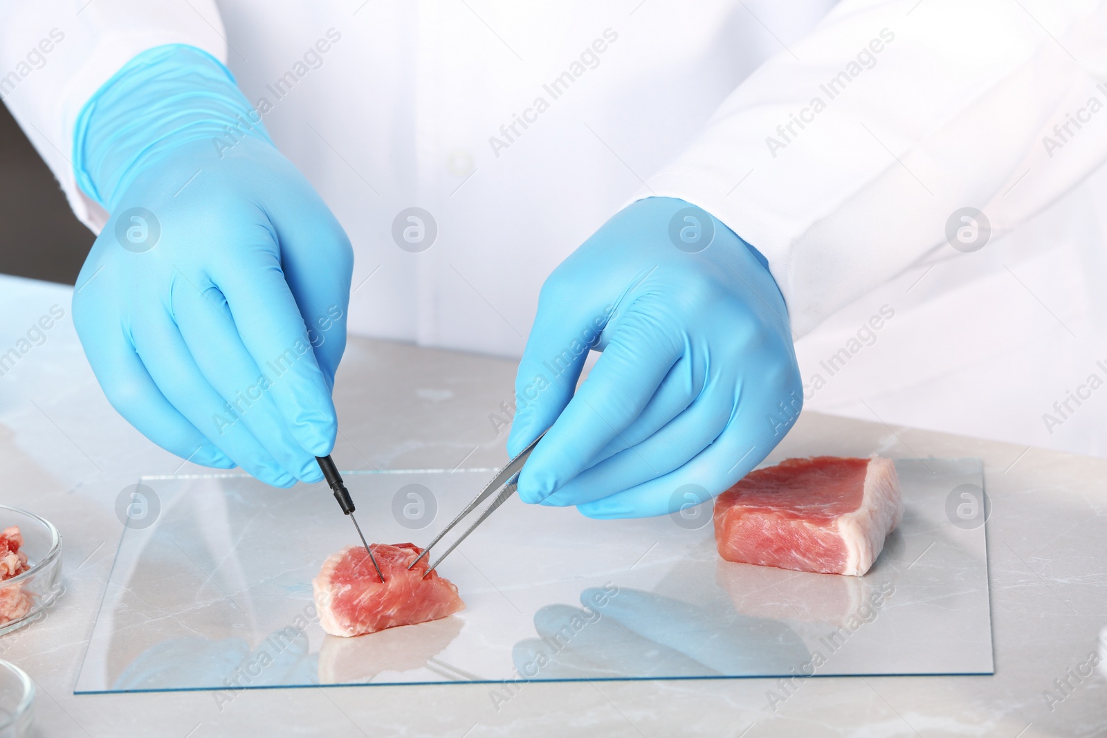 Photo of Scientist inspecting meat sample in laboratory, closeup. Food quality control