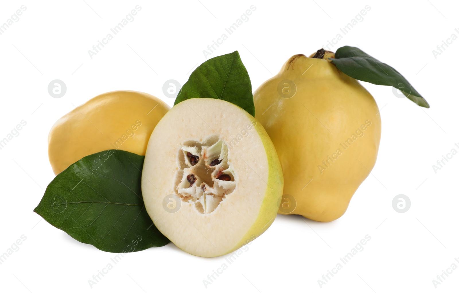 Photo of Whole and cut delicious quinces on white background