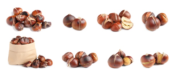 Image of Set of sweet roasted edible chestnuts isolated on white. Banner design 