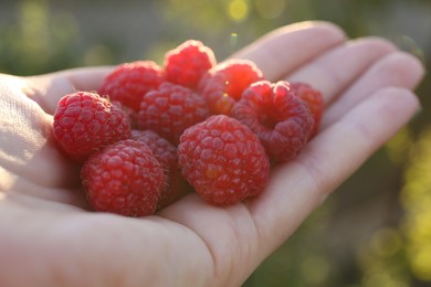 Photo of Woman holding pile of delicious ripe raspberries outdoors, closeup