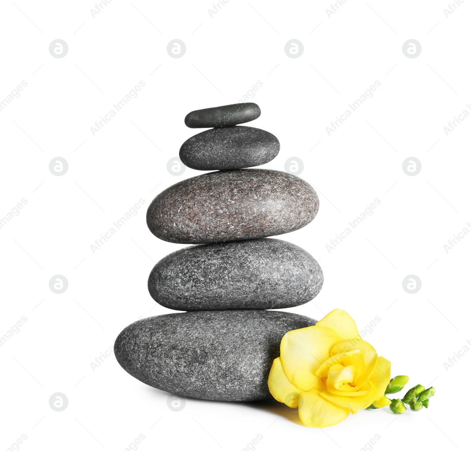 Photo of Stack of spa stones and flower on white background