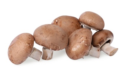 Photo of Many fresh champignon mushrooms isolated on white
