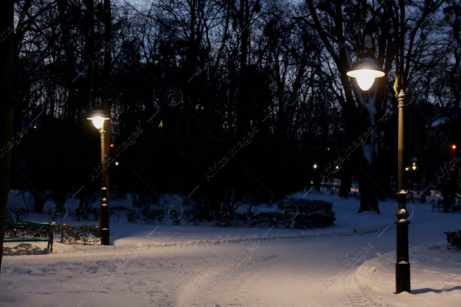 Photo of Trees, street lamps and pathway covered with snow in evening park