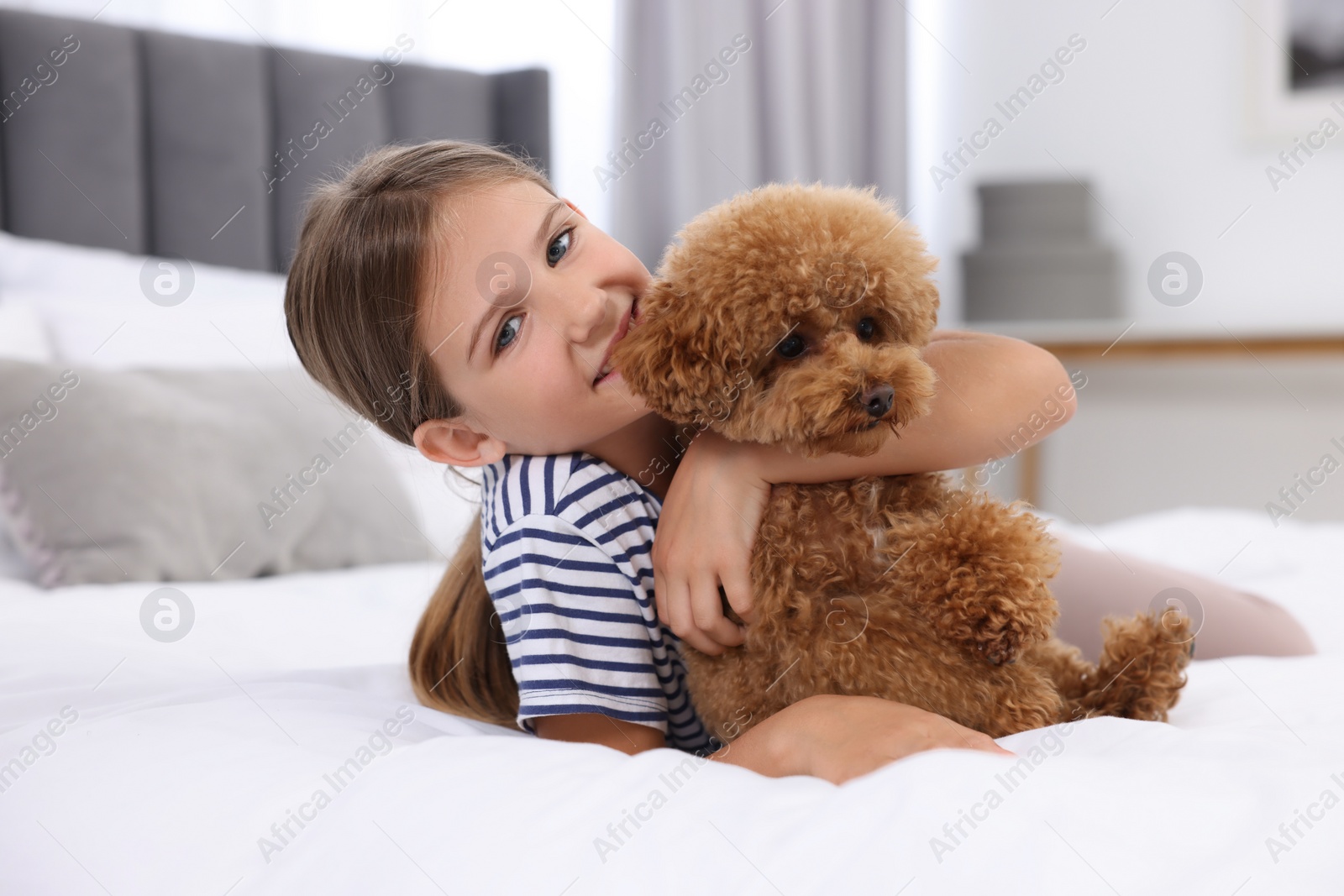 Photo of Little child hugging cute puppy on bed at home. Lovely pet