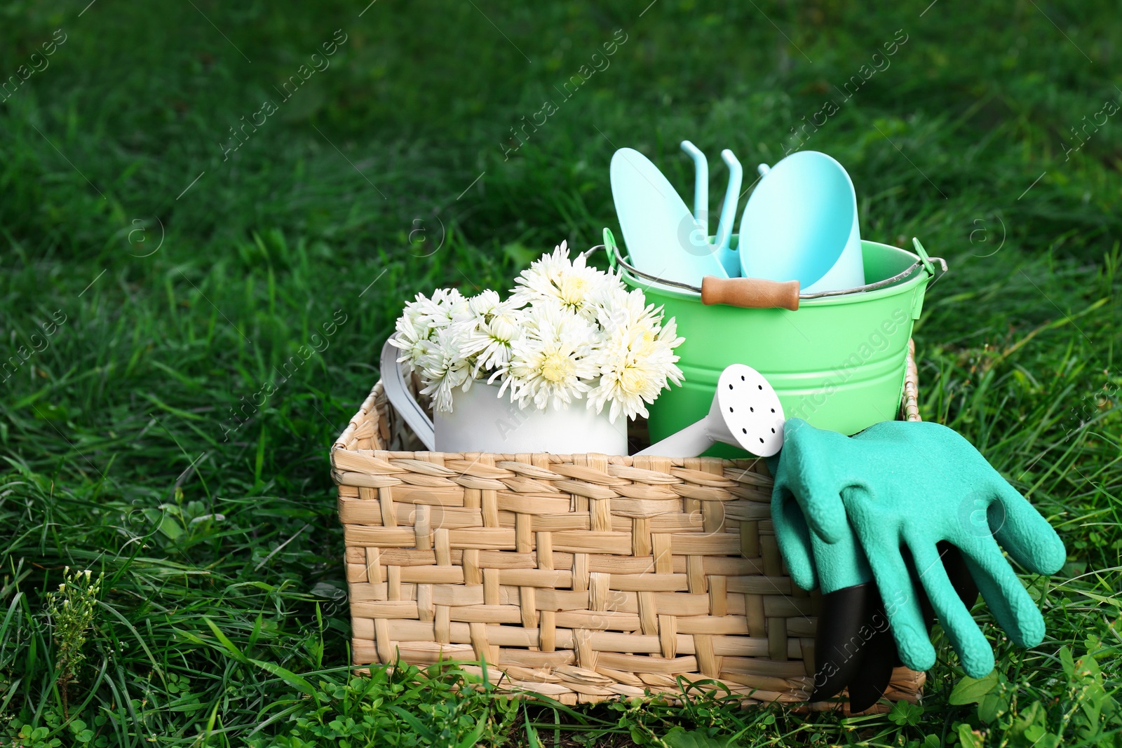 Photo of Basket with watering can, gardening tools and rubber gloves on green grass outdoors